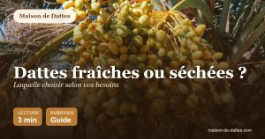 Dattes fraîches ou séchées ? : laquelle choisir selon vos besoins