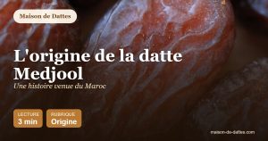 L'origine de la datte Medjool : une histoire venue du Maroc